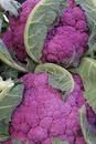 cauliflower