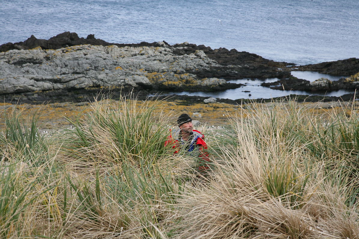 Tussock